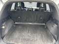 Ford Kuga Plug-In Hybrid ST-Line X 2.5 Duratec -PHEV EU6d HU Weiß - thumbnail 6