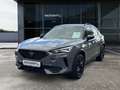 CUPRA Formentor Tribe Edition 1.5 TSI DSG LED Navi ACC Rückfahrkam Grau - thumbnail 2