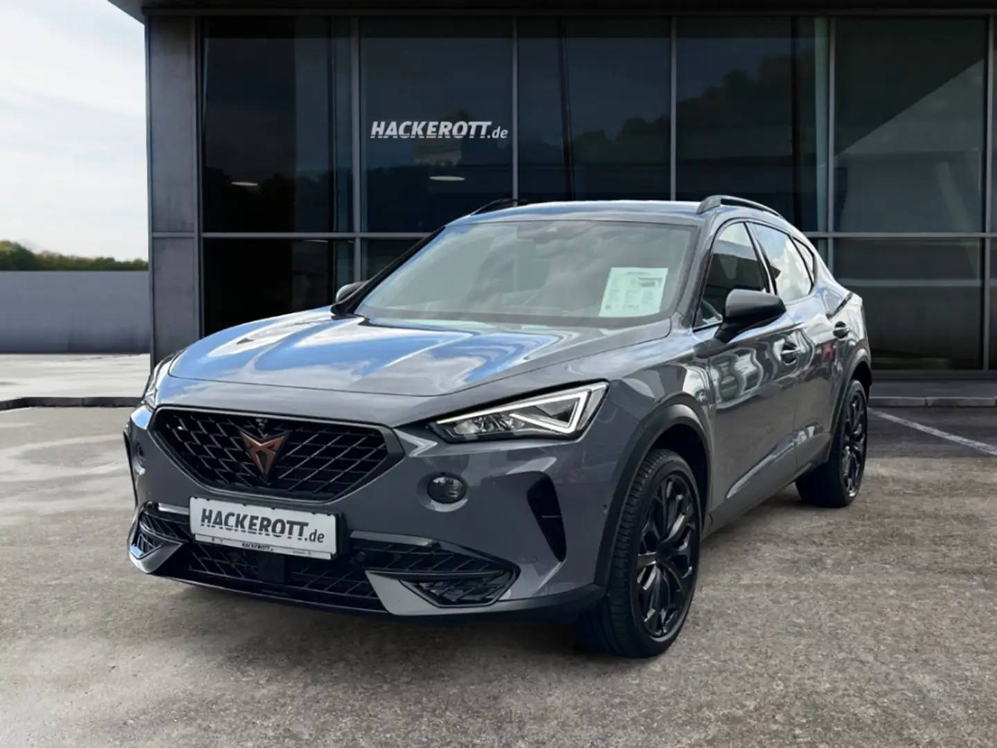 CUPRA Formentor Tribe Edition 1.5 TSI DSG LED Navi ACC Rückfahrkam Grau - 2
