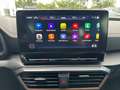 CUPRA Formentor Tribe Edition 1.5 TSI DSG LED Navi ACC Rückfahrkam Grau - thumbnail 15