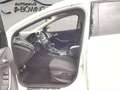 Ford Focus Titanium Weiß - thumbnail 10