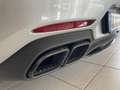 Mercedes-Benz AMG GT AMG C Argento - thumbnail 10