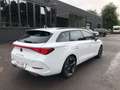 CUPRA Leon Sportstourer e-Hybrid Weiß - thumbnail 4