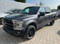 Ford F 150 Todoterreno Automático de 4 Puertas Gri - thumbnail 1
