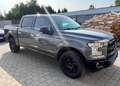 Ford F 150 Todoterreno Automático de 4 Puertas Gri - thumbnail 7