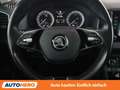 Skoda Karoq 2.0 TDI Style SC 4x4 Blau - thumbnail 19