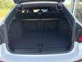BMW 530 d Tour.M Sport ACC Kamera Driv-Ass-Prof. 20" Weiß - thumbnail 18