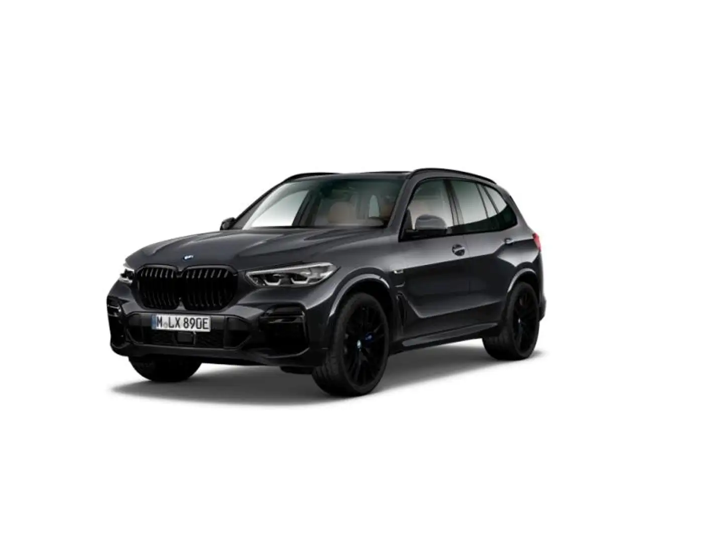 BMW X5 M SPORT - PANODAK - ACC - HIFI Grijs - 1