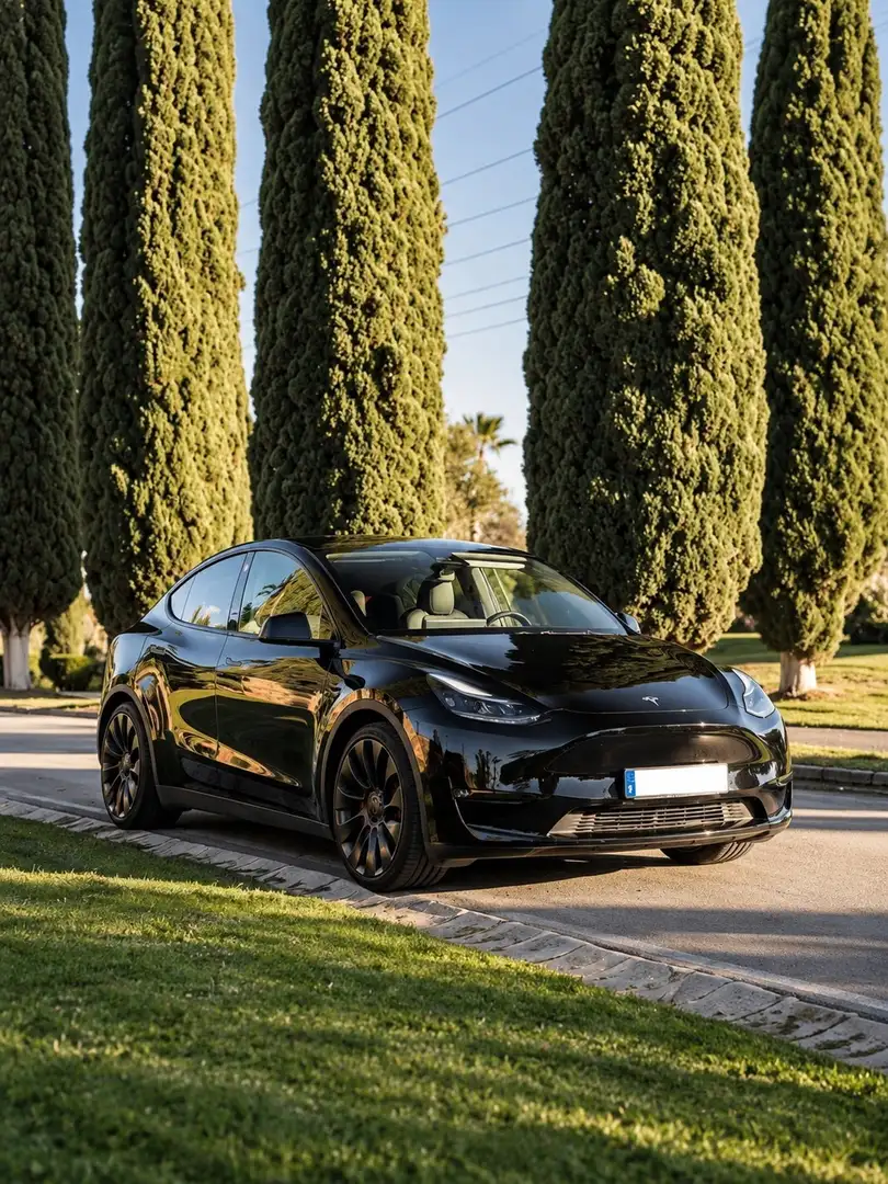 Tesla Model Y Performance AWD - 2