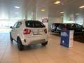 Suzuki Ignis 1.2 Hybrid Cool Bianco - thumbnail 4