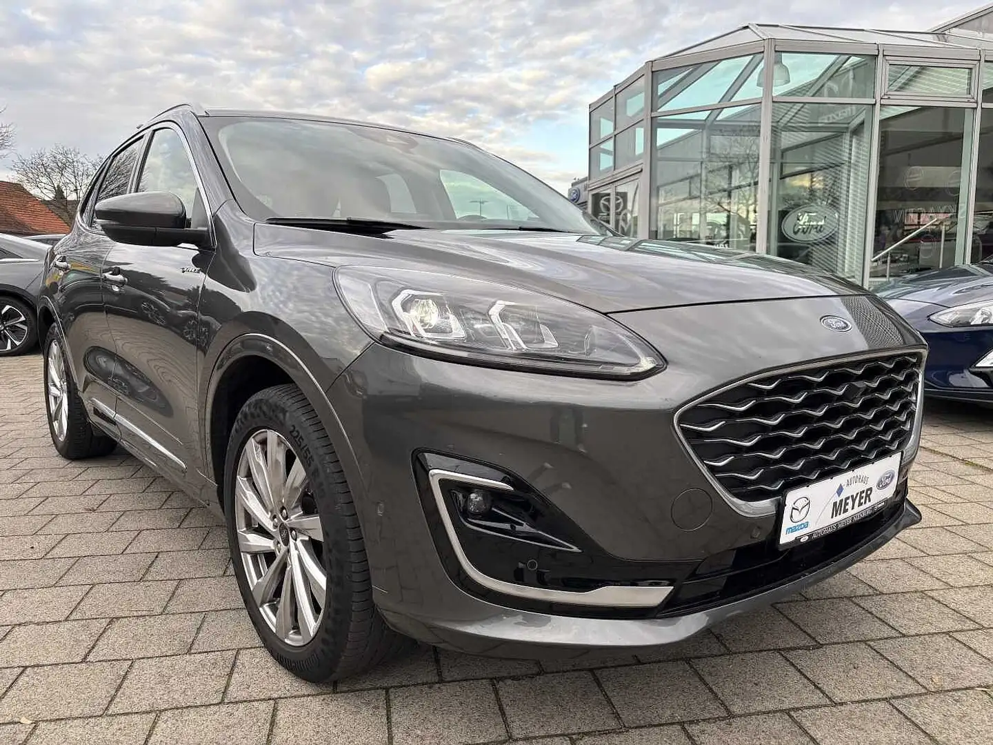 Ford Kuga 2.0 EcoBlue 4x4 Aut. Vignale Navi/LED Gris - 1