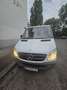 Mercedes-Benz Sprinter 316 NGT 906.233 - thumbnail 1