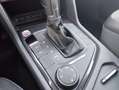 SEAT Tarraco 2.0 TDI Xcellence 4Drive Navi AHK LED DCC Totwinke Weiß - thumbnail 13