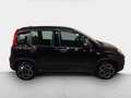 Fiat Panda CITY LIFE 1.0 MHEV 70 CV 5P Negro - thumbnail 5
