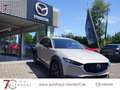 Mazda CX-30 Homura 140 Automatik Navi|Alexa|LED Beige - thumbnail 3