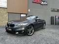 BMW 218 Cabrio 218 d Grijs - thumbnail 5