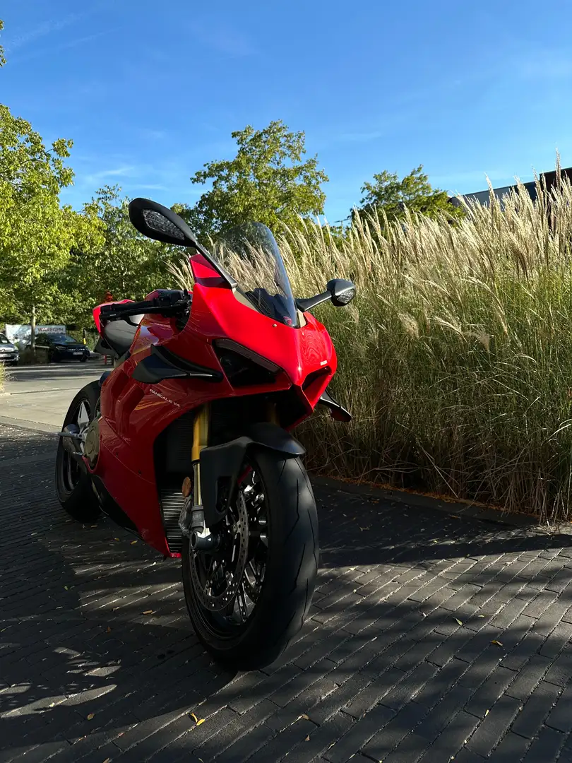 Ducati Panigale V4 S Rouge - 2