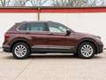 Volkswagen Tiguan Tiguan TSI Elegance DSG Braun - thumbnail 4