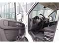 Fiat Ducato 2.2T Kasten L2H2 Multijet+NAVI+TEMPO+PDC Білий - thumbnail 15