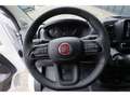 Fiat Ducato 2.2T Kasten L2H2 Multijet+NAVI+TEMPO+PDC Білий - thumbnail 19
