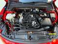 Ford Focus 1.0 Ecoboost MHEV 92kW ST-Line Rojo - thumbnail 16