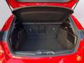 Ford Focus 1.0 Ecoboost MHEV 92kW ST-Line Rojo - thumbnail 17