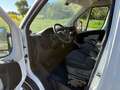 Fiat Ducato Ducato Maxi L2H2 Weiß - thumbnail 12
