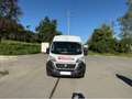 Fiat Ducato Ducato Maxi L2H2 Weiß - thumbnail 2
