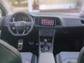 CUPRA Ateca 2.0 TSI 4Drive Tribe Edition Navi DSG ACC Grün - thumbnail 14
