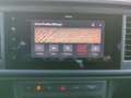 CUPRA Ateca 2.0 TSI 4Drive Tribe Edition Navi DSG ACC Grün - thumbnail 19