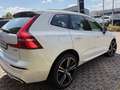 Volvo XC60 R Design|21Zoll|Leder|Pano|HarmanKardon|AHK Weiß - thumbnail 7