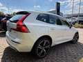 Volvo XC60 R Design|21Zoll|Leder|Pano|HarmanKardon|AHK Weiß - thumbnail 8
