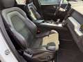 Volvo XC60 R Design|21Zoll|Leder|Pano|HarmanKardon|AHK Weiß - thumbnail 15