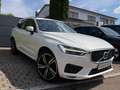 Volvo XC60 R Design|21Zoll|Leder|Pano|HarmanKardon|AHK Weiß - thumbnail 3