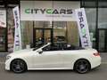 Mercedes-Benz E 220 d CABRIO/EU6c/AMG-PACK/HEADUP DISP/COMAND/ALARM/// Blanc - thumbnail 45