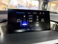 Lexus NX 300h 300h 2WD Pack Business Blanco - thumbnail 28