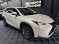Lexus NX 300h 300h 2WD Pack Business Blanco - thumbnail 7