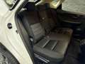 Lexus NX 300h 300h 2WD Pack Business Blanco - thumbnail 34