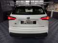 Lexus NX 300h 300h 2WD Pack Business Blanco - thumbnail 5