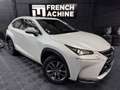 Lexus NX 300h 300h 2WD Pack Business Blanco - thumbnail 1