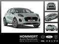 Ford Puma 1.0L Titanium *Navi*Lenkrad beheizt* Grau - thumbnail 1