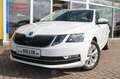 Skoda Octavia Combi 1,0 TSI Style Ganzjahresreifen Weiß - thumbnail 1