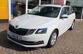 Skoda Octavia Combi 1,0 TSI Style Ganzjahresreifen Weiß - thumbnail 3