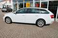 Skoda Octavia Combi 1,0 TSI Style Ganzjahresreifen Weiß - thumbnail 4