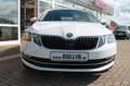 Skoda Octavia Combi 1,0 TSI Style Ganzjahresreifen Weiß - thumbnail 18