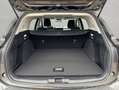 Ford Focus Turnier 1.0 EcoBoost Hybrid TITANIUM EDITION Grau - thumbnail 4