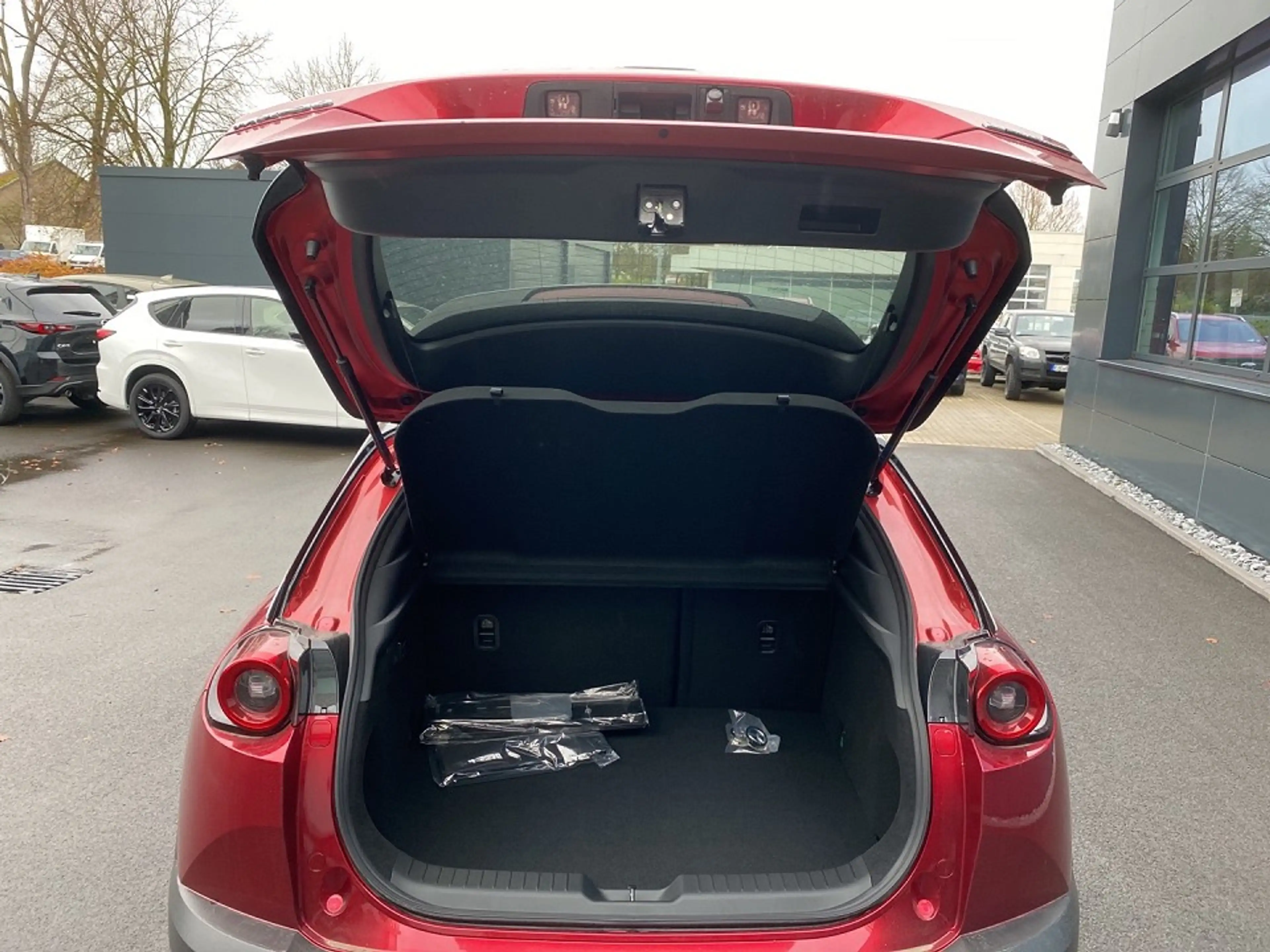 Mazda MX-30 R-EV Advantage IV Multi-Tone Metallic — photo 7