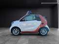 smart forTwo Cabrio Automatik,Kamera,Sitzeizung.Navi Bianco - thumbnail 4
