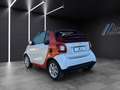 smart forTwo Cabrio Automatik,Kamera,Sitzeizung.Navi Bianco - thumbnail 5