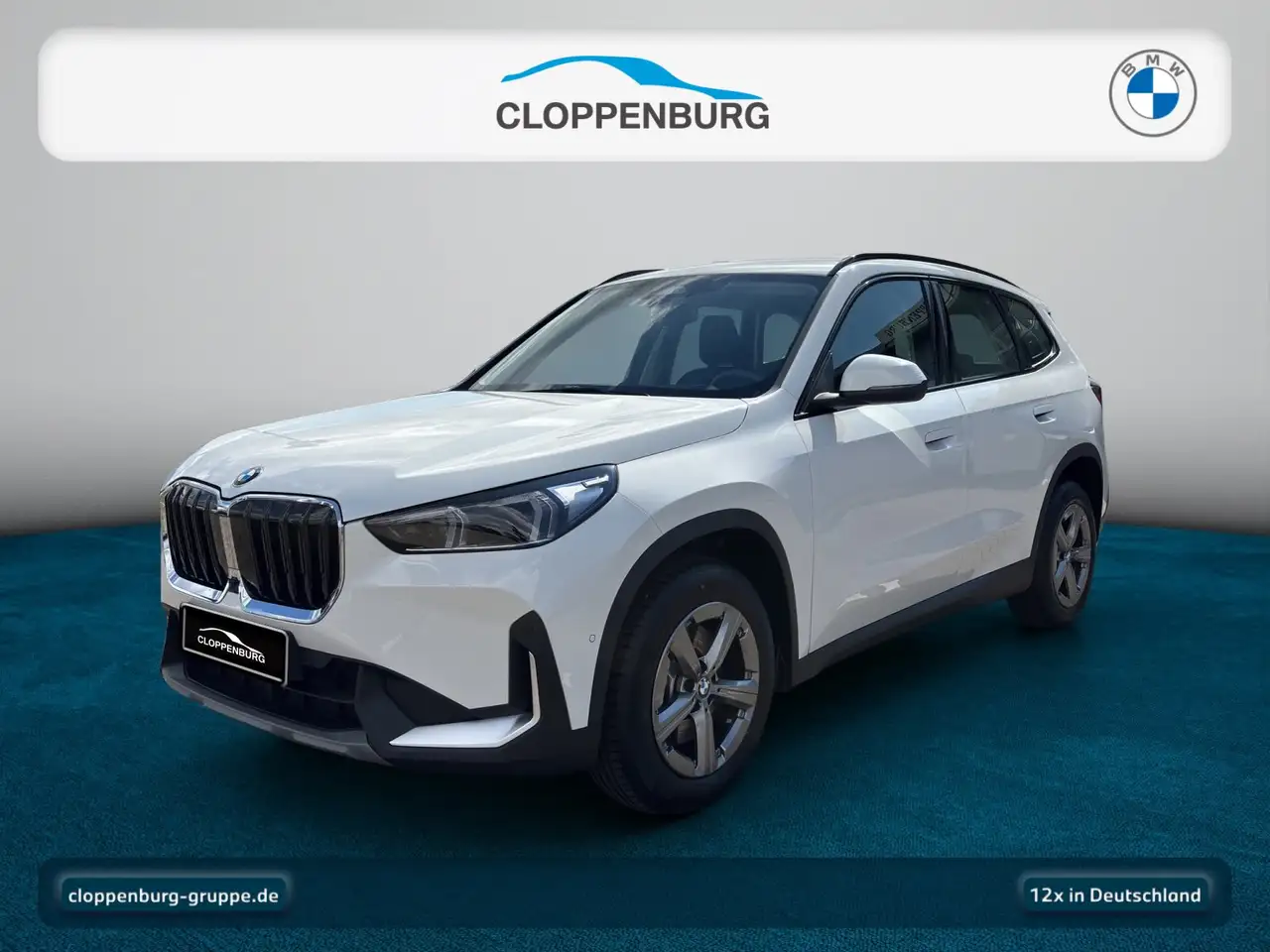 BMW X1, фото 1